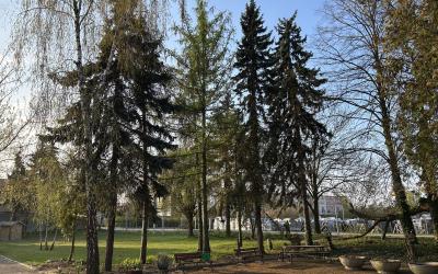 Zdjęcie przedstawia ogród społeczny wiosną. Widać drewniany leżak, świerki, brzozy, trawnik i placyk z ławkami. W tle materiały z kastoramy i blok.