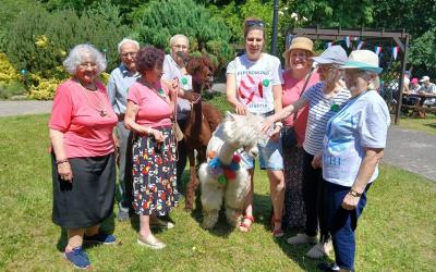 Festyn integracyjny w Lisówkach. Grupa swarzędzkich seniorów i dwie terapeutki stoją z dwiema żywymi alpakami. Jedna ma kolor biały, a druga brązowy.