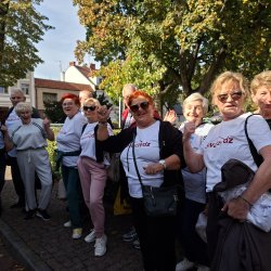 Zdjęcie przedstawia grupę swarzędzkich seniorów w drodze na olimpiadę dla seniorów w Luboniu. Zdjęcie przy drzewach w słońcu.