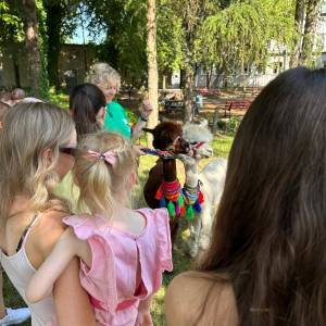 Zdjęcie około półtorarocznych dzieci pod opieką mam poznających alpaki. Zwierzoterapia w Ogrodzie Społecznym w słoneczny letni dzień.