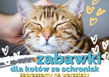 Warsztaty z okazji Dnia Kota
