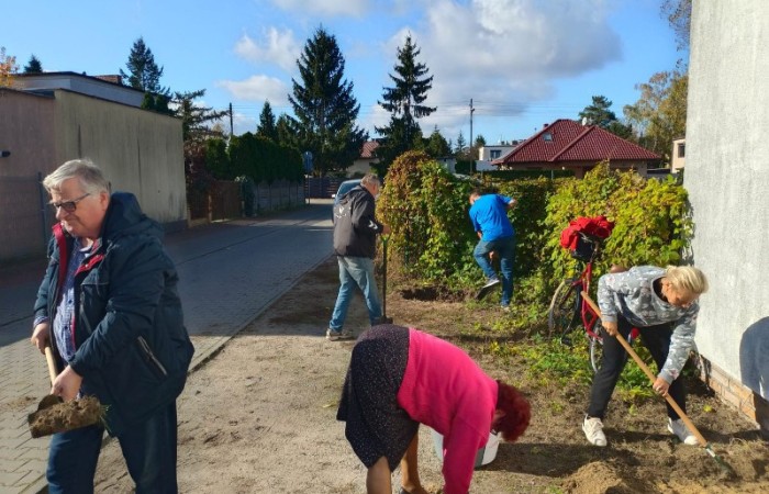 Fotografia przedstawia seniorów, którzy wspólnie pracują nad ogródkiem Klubu Młodych Duchem Pod Lasem.
